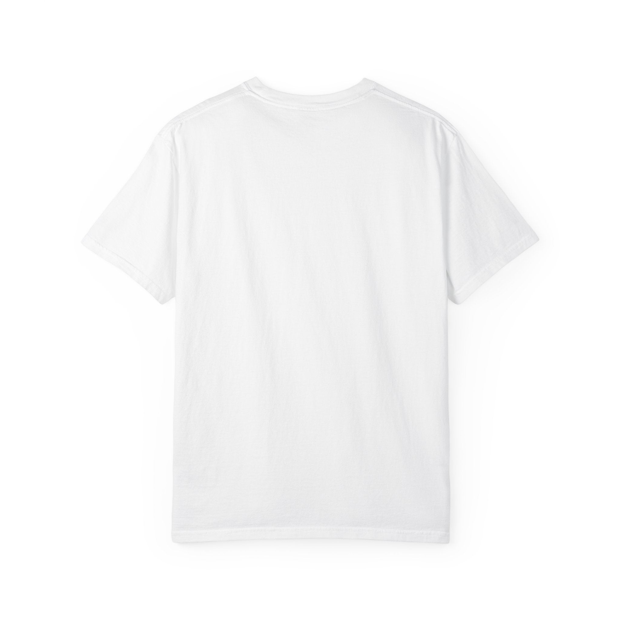Crypto n Chill · V1 — Garment-Dyed Tee