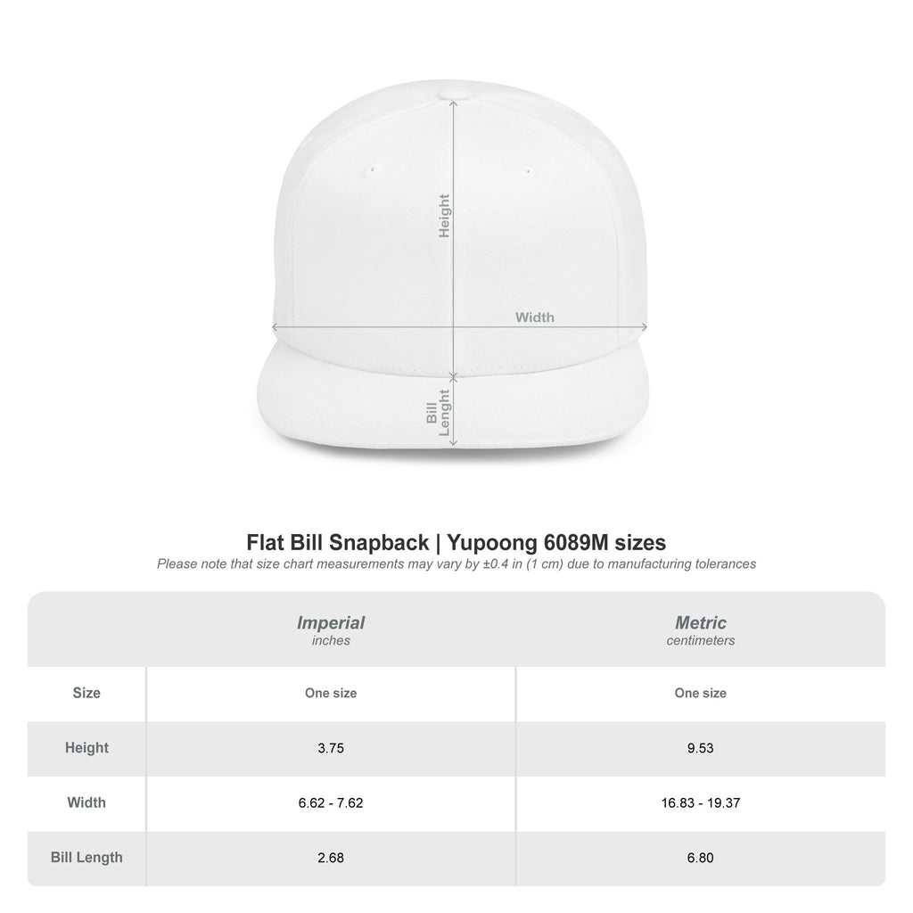 Crypto n Chill · V5 — Flat Bill Snapback